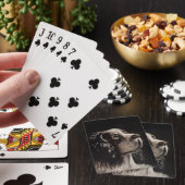 cocker spaniel spelend met pokerkaarten (Insitu)
