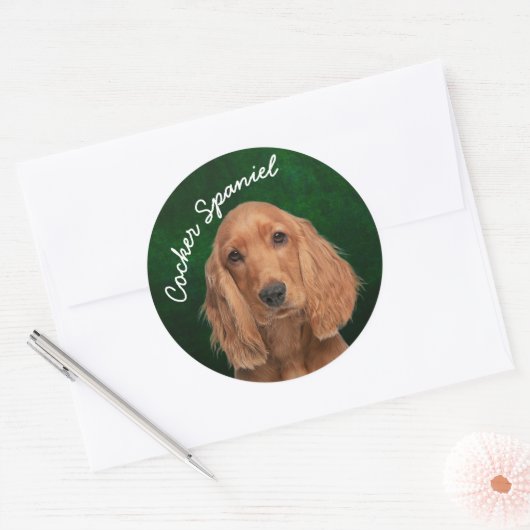 Cocker Spaniel Sticker (Envelop)