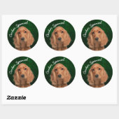 Cocker Spaniel Sticker (Vel)