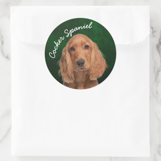 Cocker Spaniel Sticker (Tas)