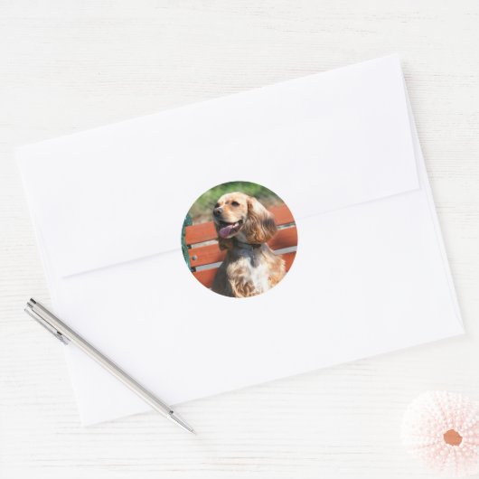 Cocker Spaniel stickers (Envelop)