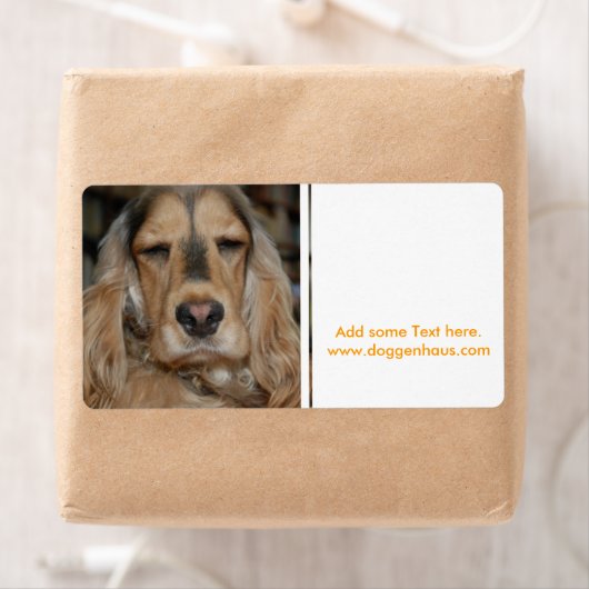 Cocker Spaniel Sushi Etiket (Insitu)