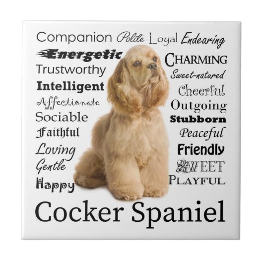 Cocker Spaniel Tile Tegeltje (Voorkant)