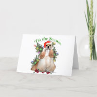 Cocker Spaniel ‘Tis