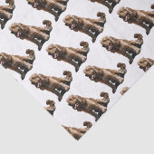 Cocker Spaniel Tissuepapier (Detail)