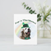 Cocker Spaniel Top of the Morn'; St. Patrick's dag Briefkaart (Staand voorkant)