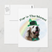 Cocker Spaniel Top of the Morn'; St. Patrick's dag Briefkaart (Voorkant / Achterkant)