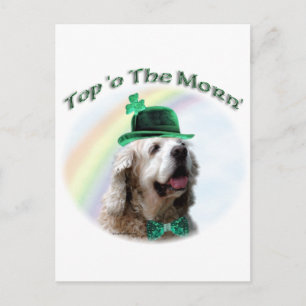 Cocker Spaniel Top of the Morn'; St. Patrick's dag Briefkaart