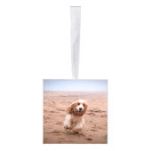 Cocker Spaniel Twee Foto Vakantie Kubus Ornament (Rechts)