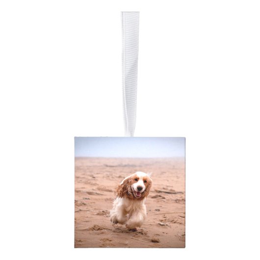 Cocker Spaniel Two Photo Holiday Cube Ornament (Rechts)