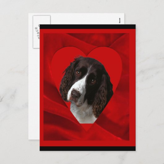 Cocker Spaniel Valentijn Feestdagenkaart (Voorkant / Achterkant)