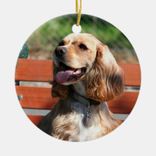 Cocker Spaniel-versiering Keramisch Ornament