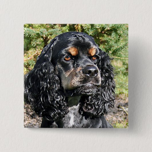 Cocker Spaniel Vierkante Button 5,1 Cm (Voorkant)