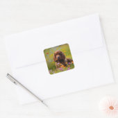 Cocker Spaniel Vierkante Sticker (Envelop)