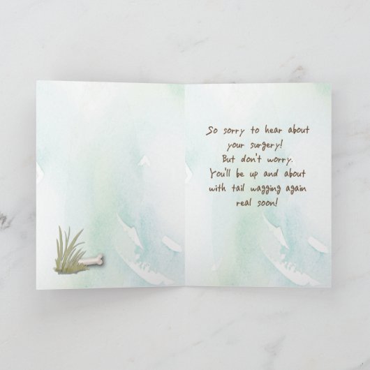 Cocker Spaniel voelt zich beter na chirurgie naar  Kaart (Binnen)