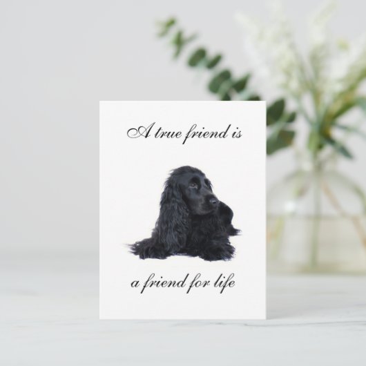 Cocker Spaniel-vriendschap Briefkaart (Staand voorkant)
