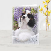 Cocker Spaniel-Wenskaart Kaart (Gele Bloem)