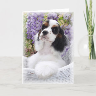 Cocker Spaniel-Wenskaart Kaart