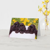 Cocker Spaniel Wenskaarten Kaart (Gele Bloem)