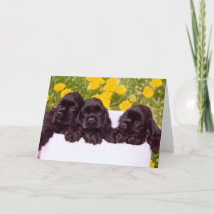 Cocker Spaniel Wenskaarten Kaart