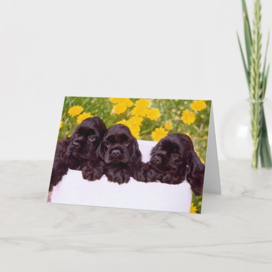 Cocker Spaniel Wenskaarten Kaart (Voorkant)