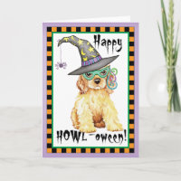 Cocker Spaniel Witch