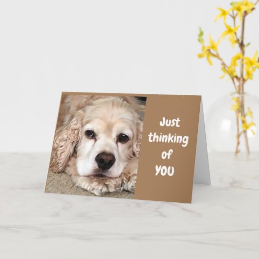 COCKER SPANIEL ZEGT "HEB BESTE VERJAARDAG OOIT" KAART (Gele Bloem)