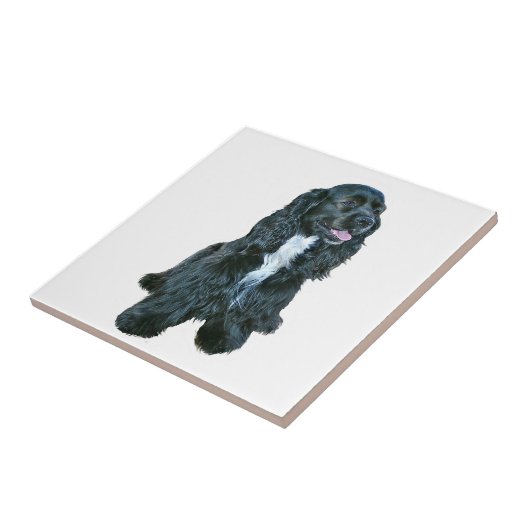 Cocker Spaniel - Zwart #2 Tegeltje (Zijkant)