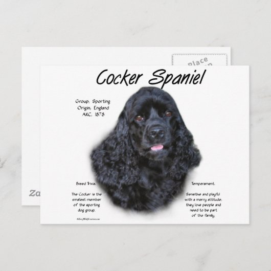 Cocker Spaniel (zwart) Geschiedenis Ontwerp Briefkaart (Voorkant / Achterkant)