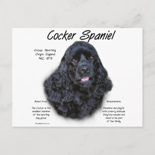 Cocker Spaniel (zwart) Geschiedenis Ontwerp Briefkaart