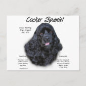 Cocker Spaniel (zwart) Geschiedenis Ontwerp Briefkaart (Voorkant)