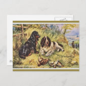 Cocker Spaniels Briefkaart (Voorkant / Achterkant)