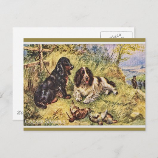Cocker Spaniels Briefkaart (Voorkant / Achterkant)
