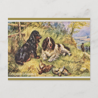 Cocker Spaniels Briefkaart