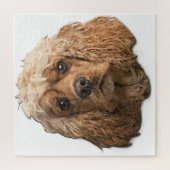 Cocker Spaniels Legpuzzel (Verticaal)