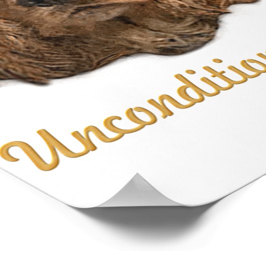 cocker-spaniëls poster (Hoek)