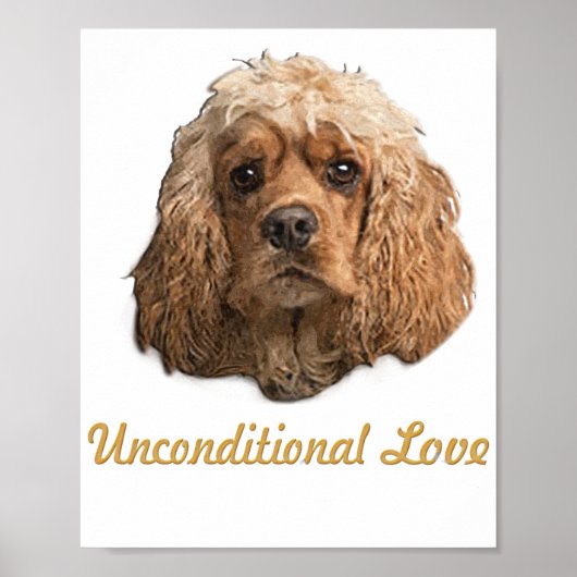 cocker-spaniëls poster (Voorkant)