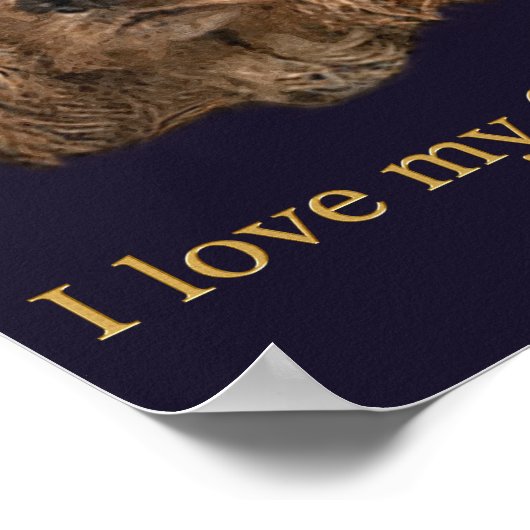 cocker-spaniëls poster (Hoek)