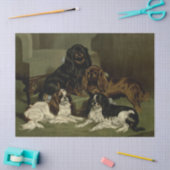  Cocker Spaniels Tissuepapier (Craft)