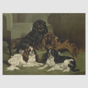  Cocker Spaniels Tissuepapier