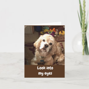 COCKER ZEGT *HAPPY BIRTHDAY* KAART