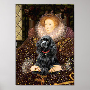 Cocker (zwart) - koningin poster