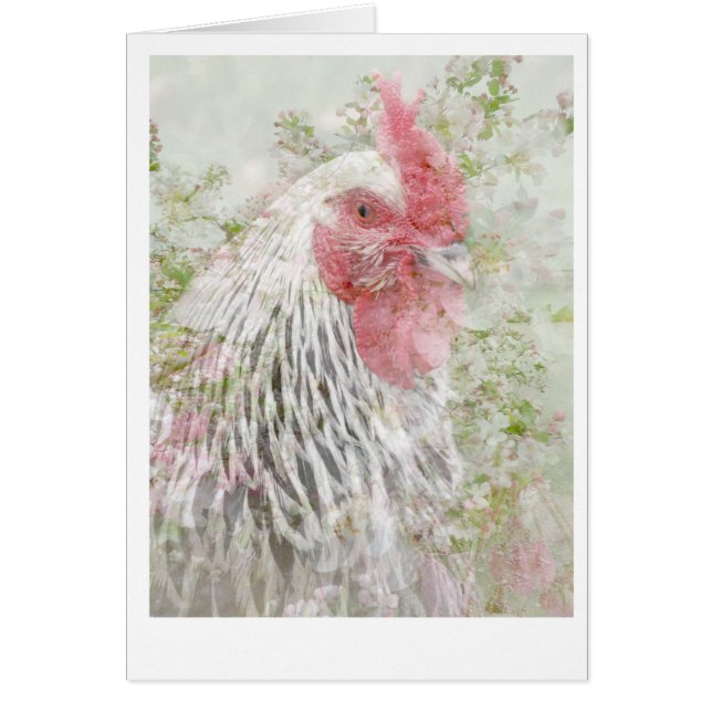 Cockeral in bloemen. (Voorkant)
