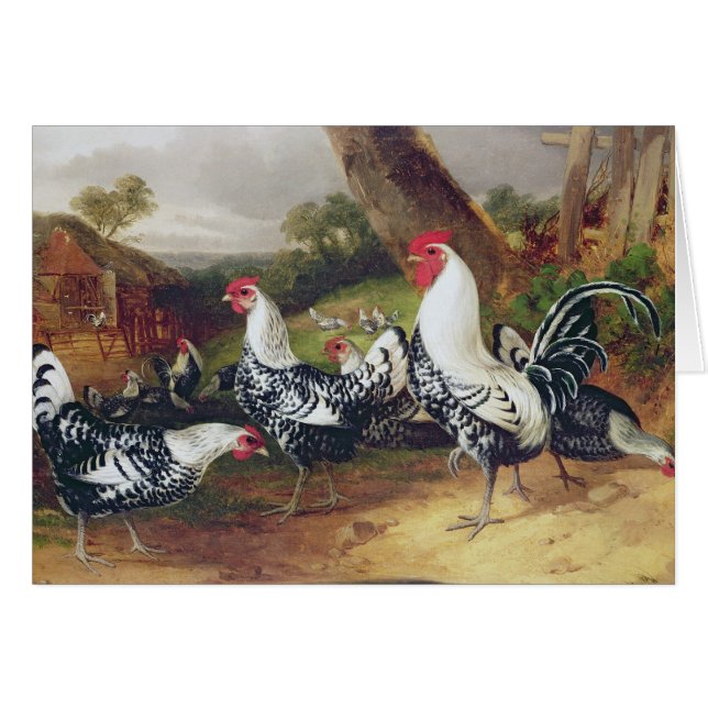 Cockerels in een landschap (Voorkant Horizontaal)