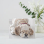 Cockerhond slaapt briefkaart (Staand voorkant)