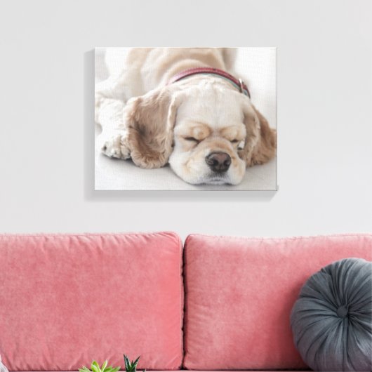 Cockerhond slaapt canvas afdruk (Insitu (Woonkamer))