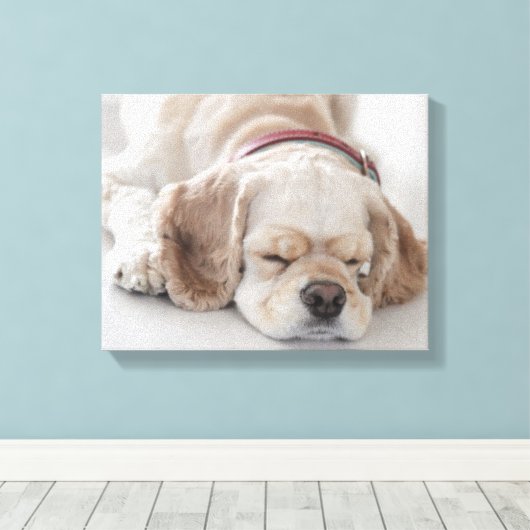 Cockerhond slaapt canvas afdruk (Insitu (Houten vloer))