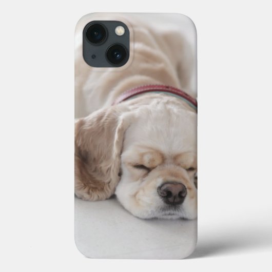 Cockerhond slaapt Case-Mate iPhone case (Achterkant)