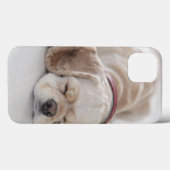 Cockerhond slaapt Case-Mate iPhone case (Achterkant (horizontaal))
