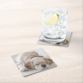 Cockerhond slaapt kartonnen onderzetters (Insitu)